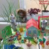 Всероссийский детский познавательный конкурс «Огород на окне Кто будет оценивать ваши работы
